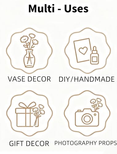 Natural Dried Flowers Bouquet Set (12 Kinds) for DIY Crafts & Vase Decor
