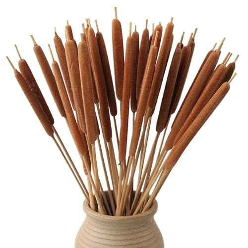 17-Inch Dried Natural Cattails - 20-Piece Set for Floral Arrangements