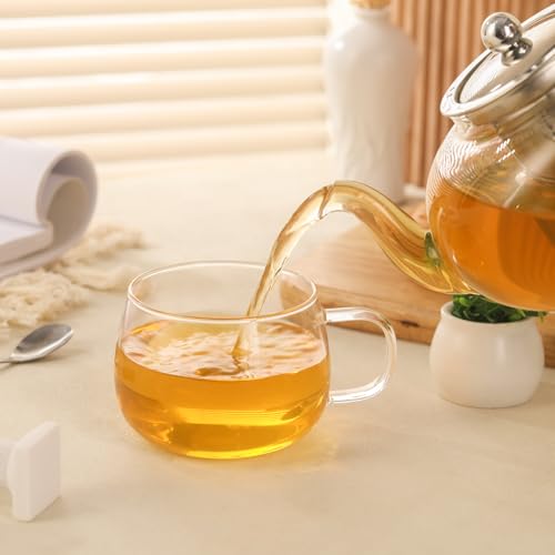 GURUDAR 12OZ/360ML Set of 2 Borosilicate Glass Tea Cups with Handles - Microwave & Dishwasher Safe