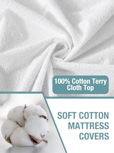 Bedecor Queen Waterproof Mattress Protector - Fitted Terry (9"-18" Deep Pocket)