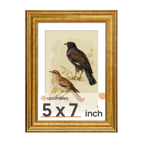 Vintage Gold 5x7 Picture Frame for Tabletop & Wall Display (Fits 4x6)
