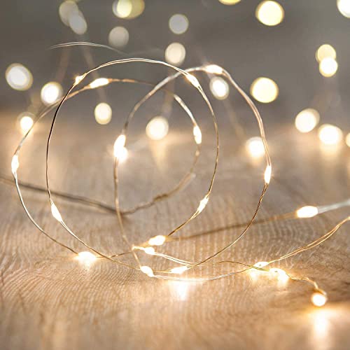 Warm White Fairy String Lights - 10ft 30 LED Battery Powered Silver Wire