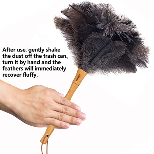 16-Inch Natural Ostrich Feather Duster with Wooden Handle for Cleaning