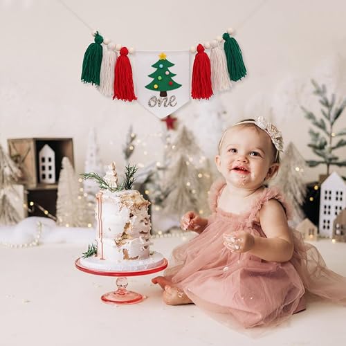 BASCT Christmas 1st Birthday High Chair Banner Tassel Garland - Winter Tree Theme