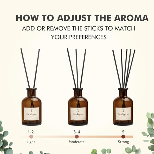 Eucalyptus Reed Diffuser Set - 2 Pack Long-Lasting Home Fragrance