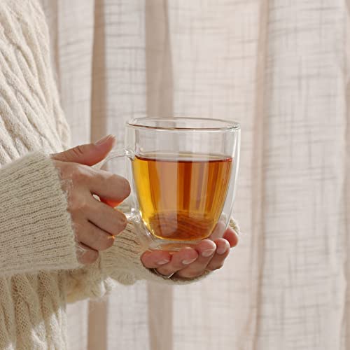 12oz Double Walled Glass Coffee Mug Set - Insulated Cappuccino & Tea Cups by CNGLASS