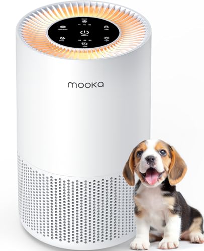 H13 True HEPA Air Purifier for Large Rooms with Aromatherapy & Child Lock