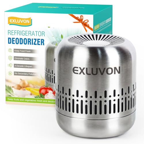 Reusable Stainless Steel Refrigerator Deodorizer & Odor Eliminator