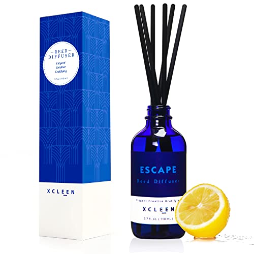 Aromatherapy Reed Diffuser Set with 6 Rattan Sticks - 3.7 oz (110ml)