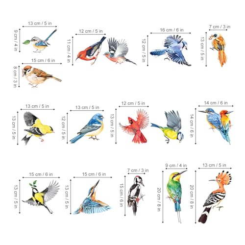 Colorful Birds Window Clings - Hummingbird & Parrot Decals