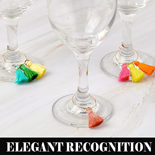 Yingzhao 88 Pcs Wine Glass Charms Set with Tassels & Rings for Stemware