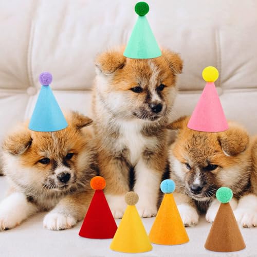 10 Pcs Colorful Mini Paper Cone Party Hats for Stuffed Animals and Pets