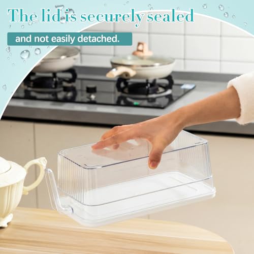 Havawish Short Ice Bin Set with Lid & Scoops - 12.6 x 6.3 x 4.33 Inches
