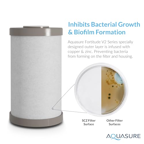 Fortitude V2 Whole House Sediment Carbon & Zinc Water Replacement Filter