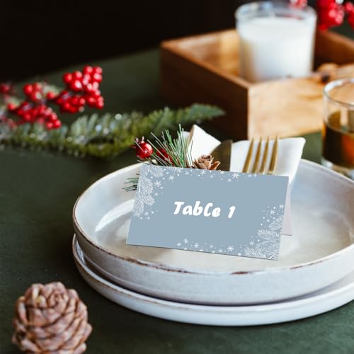 Winter Snowflake Place Cards Set of 100 - Table Name Cards for Parties & Events