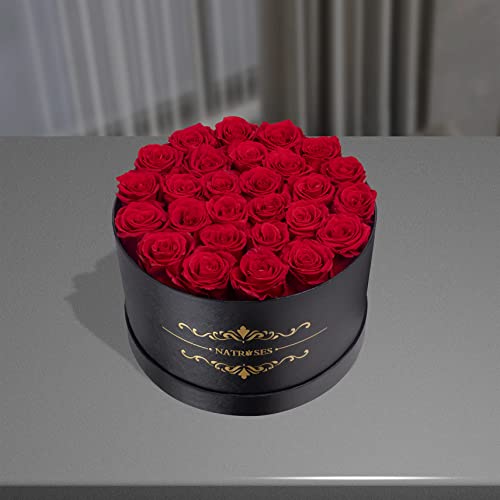 27-Piece Preserved Red Roses in Gift Box - Real Everlasting Flowers