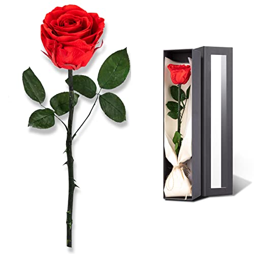 Preserved Long Stem Real Rose - Forever Flower Gift for Her