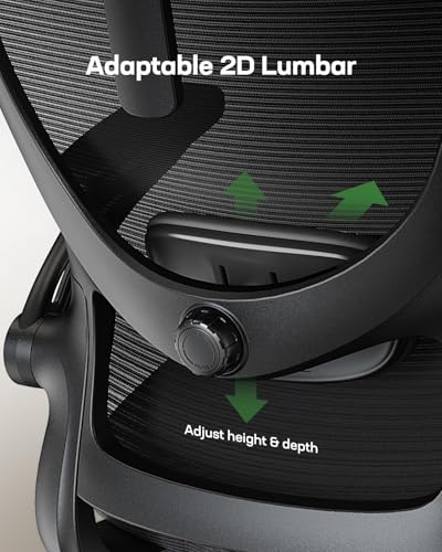 Ergonomic High Back Mesh Office Chair with Adjustable Lumbar & 3D Armrests