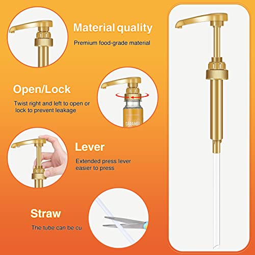 Gold Coffee Syrup Pump Dispensers, 6-Pack for 750ml 25.4 oz Bottles