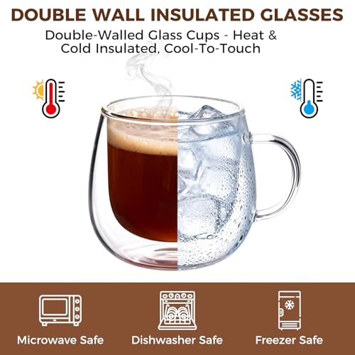 Set of 2 Double Wall Glass Coffee Mugs 10 oz with Handle - RDLBBS