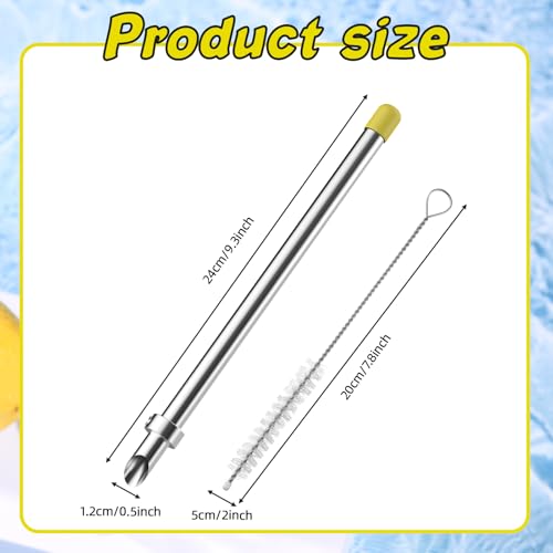 6-Piece Lemonade Stand Kit with Stainless Steel Straws, Muddler & Brushes - Professional Beverage Tools