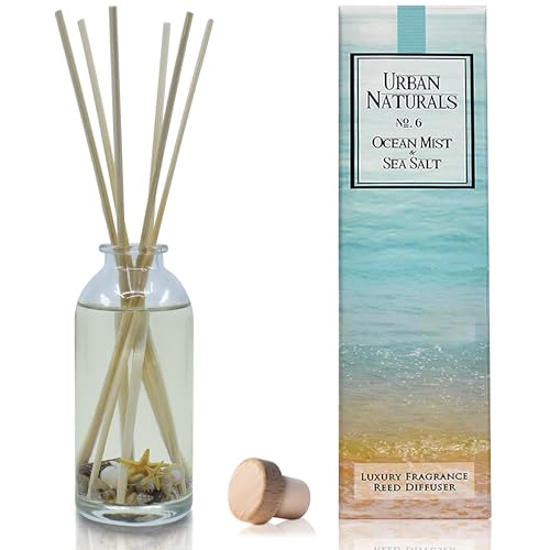 Ocean Mist & Sea Salt Reed Diffuser Set with Essential Oils and Seashells