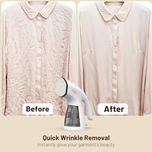 2-in-1 Handheld Clothes Steamer and Dry Iron with 250ml Tank