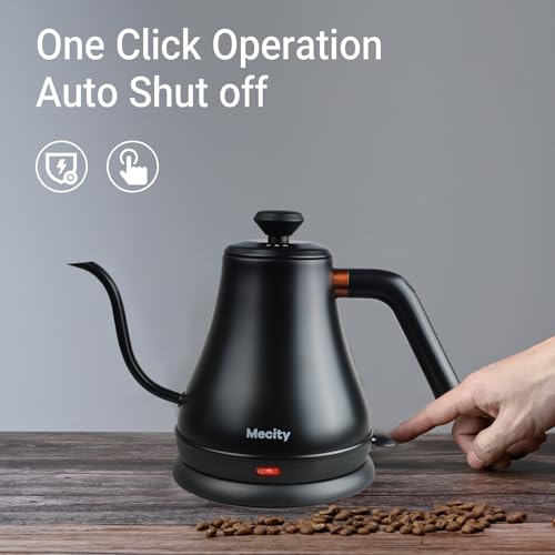 Electric Gooseneck Kettle, 800ml Stainless Steel Water Boiler, Matte Black