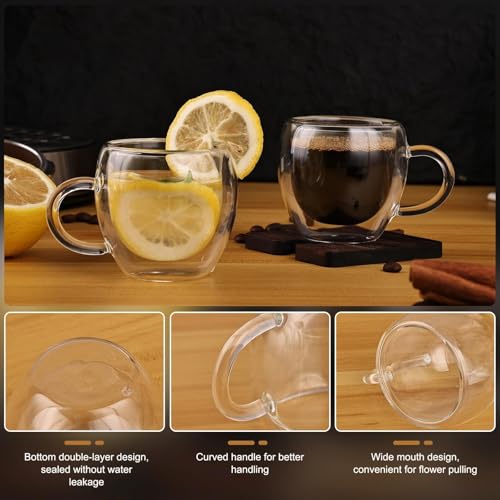 Glenkach 2.5oz Espresso Cups Set of 4 Double Wall Insulated Glass Mugs
