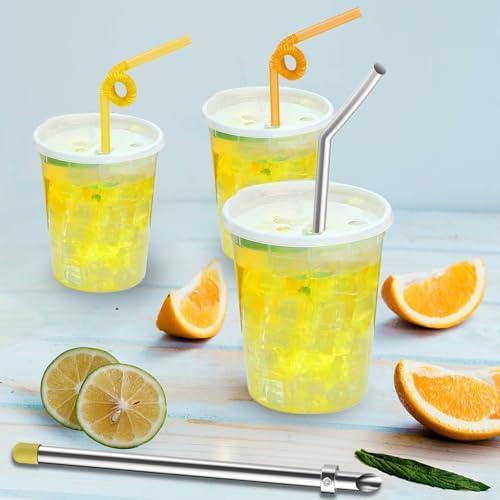 6-Piece Lemonade Stand Kit with Stainless Steel Straws, Muddler & Brushes - Professional Beverage Tools