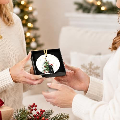 Black Lab Gifts Ceramic Christmas Ornament - Dog Ornament for Tree - Black Labrador