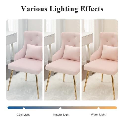 Velvet Vanity Chair with Lumbar Pillow and Metal Legs