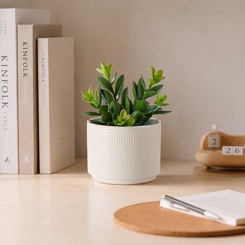 Artificial Succulent in White Ceramic Pot, 7.5-Inch Faux Plant Decor