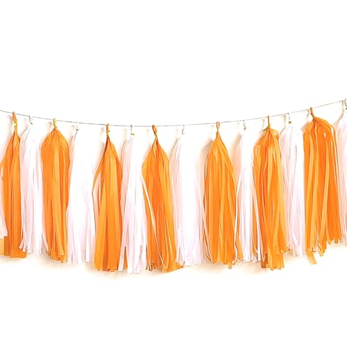 Orange and White Tissue Paper Tassel Garland - 20 Piece DIY Party Banner