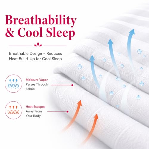 Standard Cotton Pillow Protectors - 300 TC Breathable Zippered Covers (2 Pack)