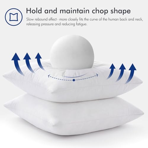 MIULEE 26x26 Euro Pillow Inserts Set of 2 - Feather Down Throw Pillows