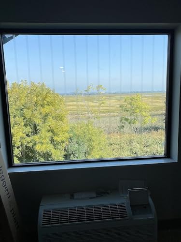 Clear Bird Tape for Windows - Prevent Bird Strikes (3/4" x 20')