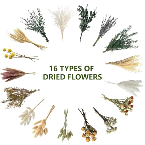 16 Varieties Natural Dried Flowers Set, 7-8 Inch Mini Stems for Boho Decor