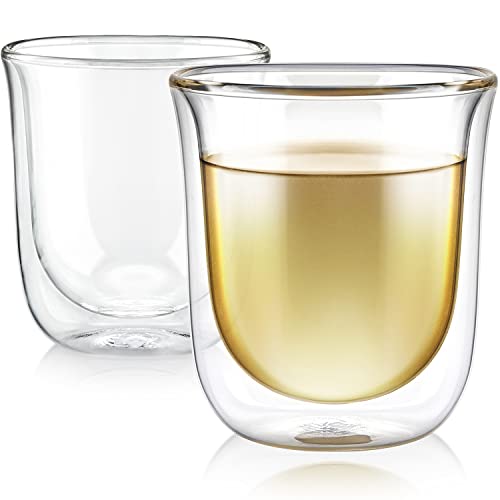 Double-Walled Insulated Glass Cups - 6 oz Borosilicate Set of Two