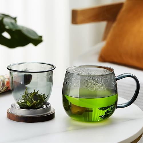 DOPUDO 17 oz Glass Teacup with Infuser and Lid, Borosilicate Tea Mug 500 ml