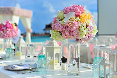 Clear Glass Cylinder Vase (6" x 16") for Wedding Centerpieces & Decor