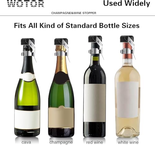 Stainless Steel Wine & Champagne Bottle Stoppers - Leakproof Saver (2 Pack)