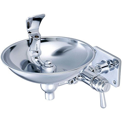 Wall-Mount Commercial Drinking Fountain with Chrome Brass Basin