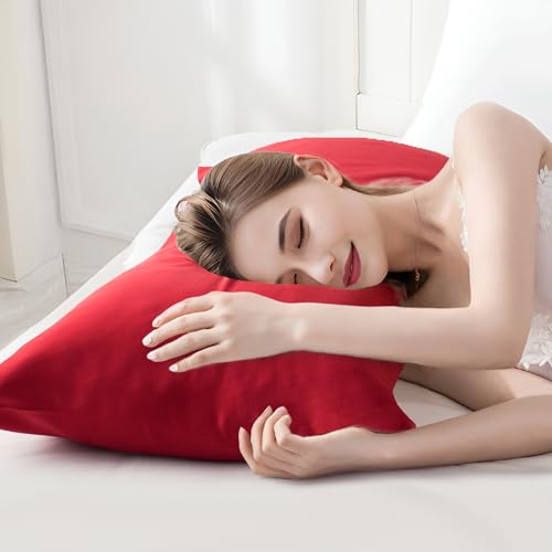 CloudDwelling 100% Mulberry Silk Pillowcase 22 Momme 6A Red 20x26 with Hidden Zipper