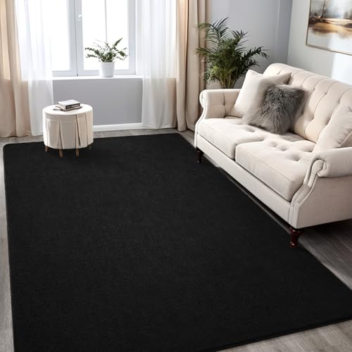 4x6 Black Area Rug, Washable Memory Foam Minimalist Indoor Carpet