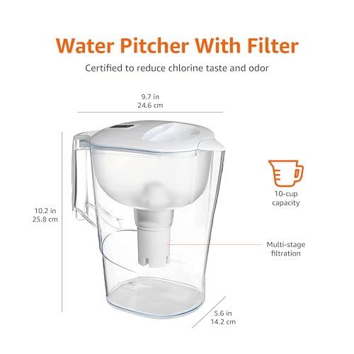 10-Cup Water Filter Pitcher for Fridge - BPA-Free Water Dispenser