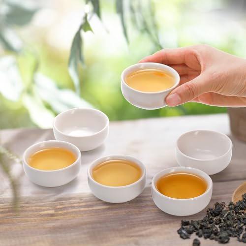 Foraineam Ceramic Sake Tea Cups Set of 12, 2.4 x 1.2 Inch, 45ml Small Pottery Cups with Gift Box - White, Durable, Microwave & Dishwasher Safe
