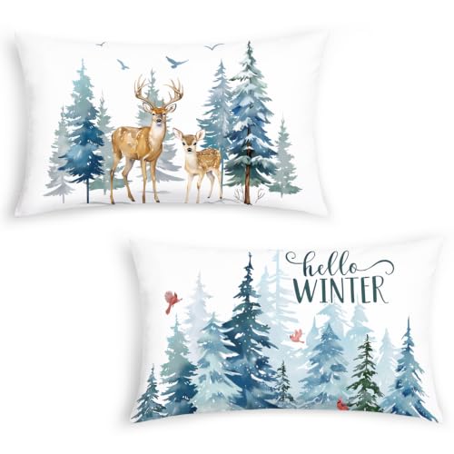 Bonhause Hello Winter Lumbar Pillow Covers 12 x 20 in Set of 2 – Reindeer Snowy Pines Holiday Decor
