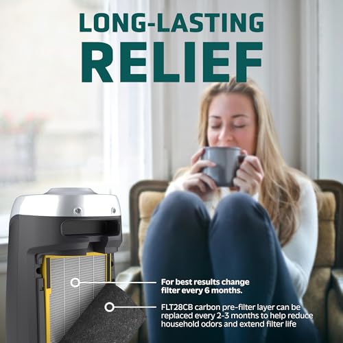 Replacement Air Purifier Filter C True HEPA with Activated Carbon