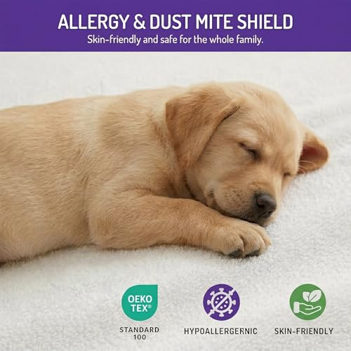 Queen Bed Bug Mattress Protector - Waterproof, Dust Mite Proof, 6-Sided Zipper
